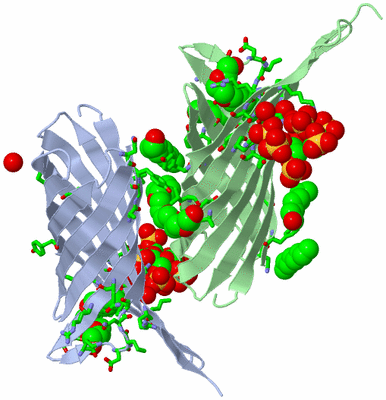 Image Asym. Unit - sites