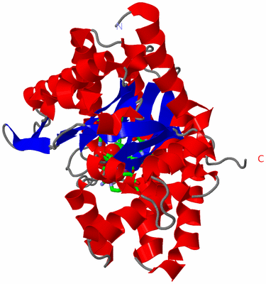 Image Asym. Unit - sites