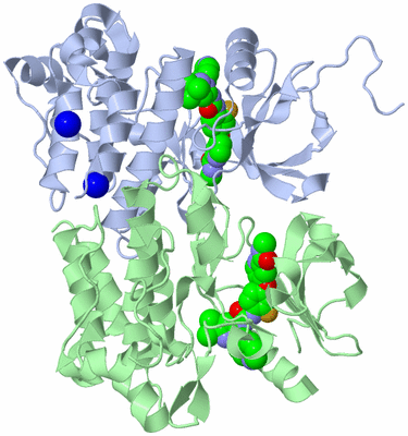 Image Biological Unit 3