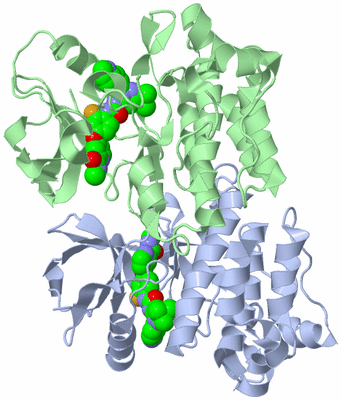 Image Biological Unit 3