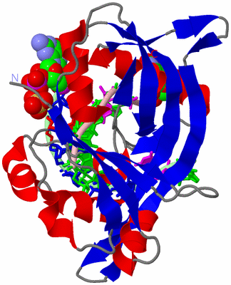 Image Asym./Biol. Unit