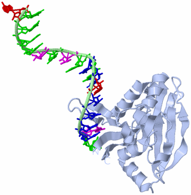 Image Biological Unit 1