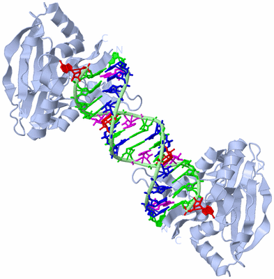 Image Biological Unit 2