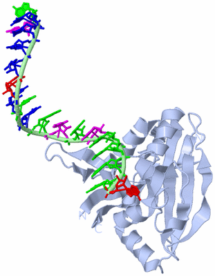 Image Biological Unit 3