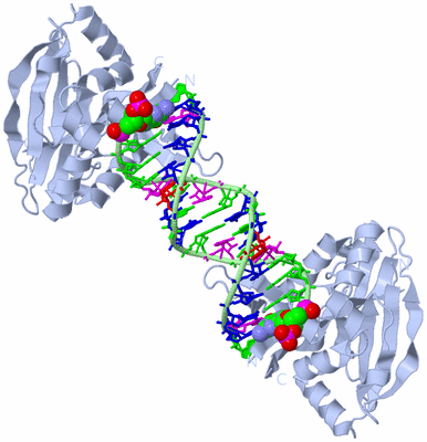 Image Biological Unit 2