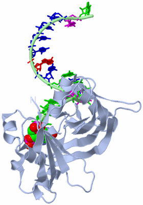 Image Biological Unit 3