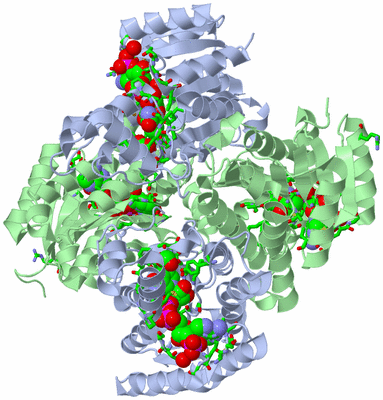 Image Biol. Unit 1 - sites