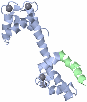 Image Asymmetric Unit