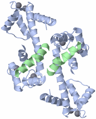 Image Biological Unit 2