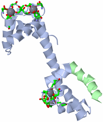 Image Asym. Unit - sites