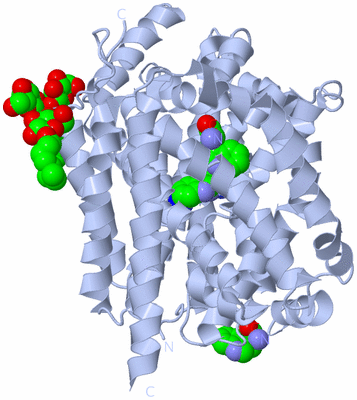 Image Biological Unit 1