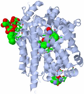 Image Biol. Unit 1 - sites