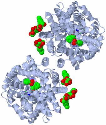 Image Biological Unit 2