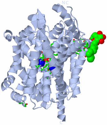 Image Biol. Unit 1 - sites