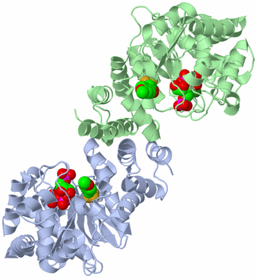 Image Asym./Biol. Unit