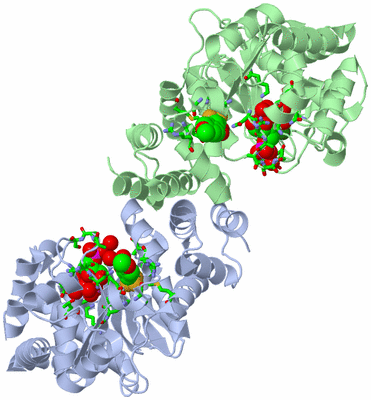 Image Asym./Biol. Unit - sites