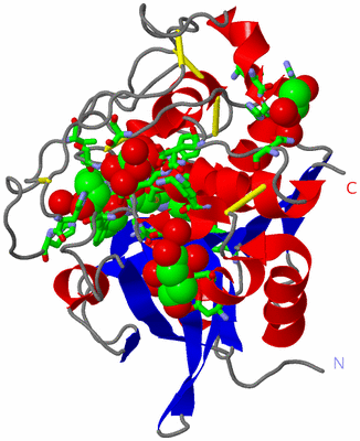 Image Asym./Biol. Unit - sites