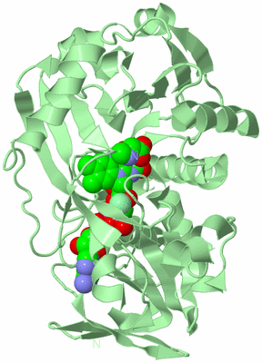 Image Biological Unit 2