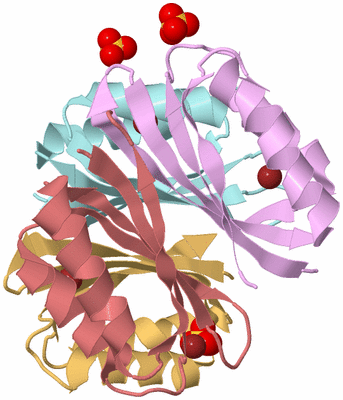 Image Biological Unit 2