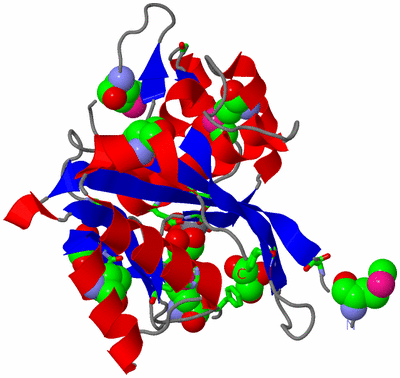 Image Asym./Biol. Unit - sites