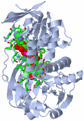 Image Biol. Unit 1 - sites