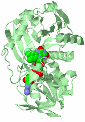 Image Biological Unit 2