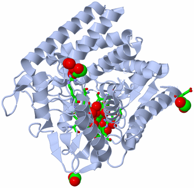 Image Biol. Unit 1 - sites