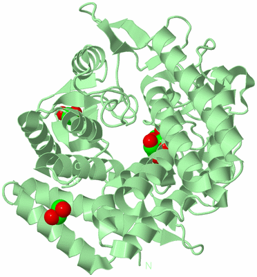 Image Biological Unit 2