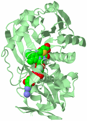 Image Biological Unit 2