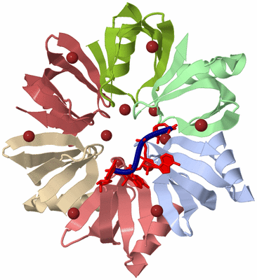 Image Biological Unit 1