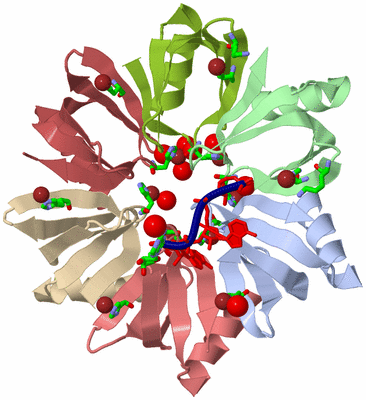 Image Biol. Unit 1 - sites