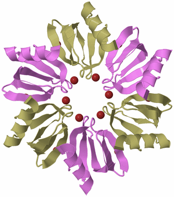 Image Biological Unit 3