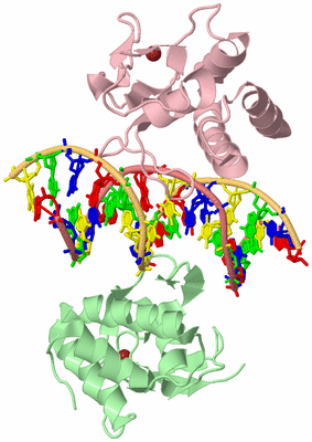 Image Biological Unit 2