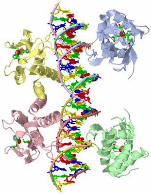 Image Asym. Unit - sites