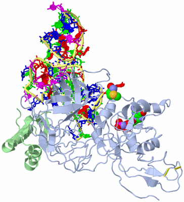 Image Asym./Biol. Unit