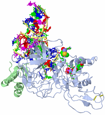 Image Asym./Biol. Unit - sites