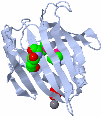 Image Biological Unit 1