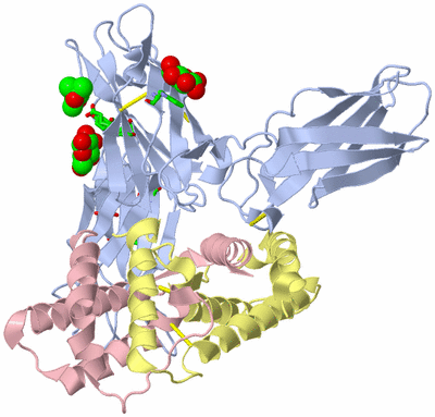 Image Biol. Unit 1 - sites