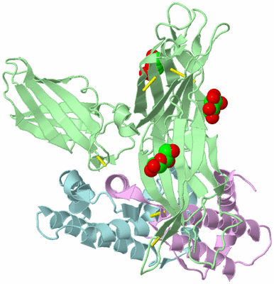 Image Biological Unit 2