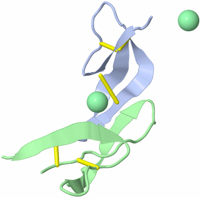 Image Biological Unit 5