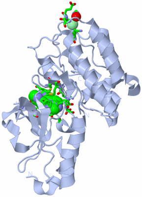 Image Biol. Unit 1 - sites