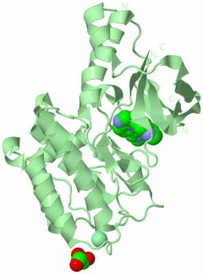 Image Biological Unit 2