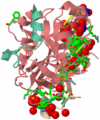 Image Asym./Biol. Unit - sites