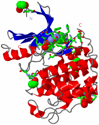 Image Asym./Biol. Unit - sites