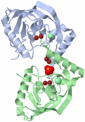 Image Asym./Biol. Unit