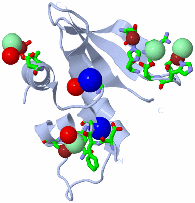 Image Biol. Unit 1 - sites