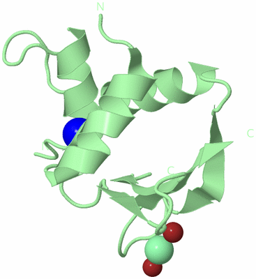 Image Biological Unit 2