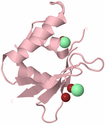 Image Biological Unit 3