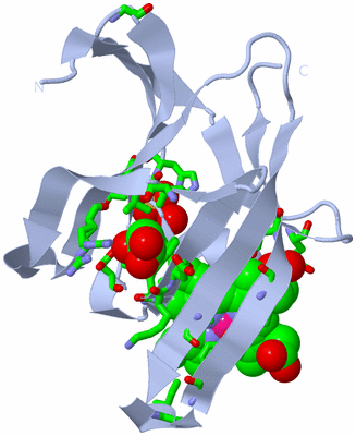 Image Biol. Unit 1 - sites