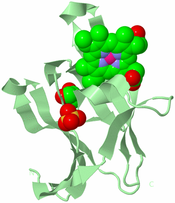 Image Biological Unit 2